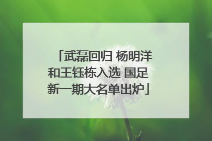 武磊回归 杨明洋和王钰栋入选 国足新一期大名单出炉
