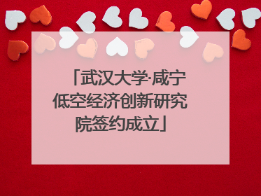 武汉大学·咸宁低空经济创新研究院签约成立