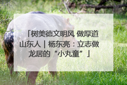 树美德文明风 做厚道山东人｜杨东亮：立志做龙居的“小丸童”