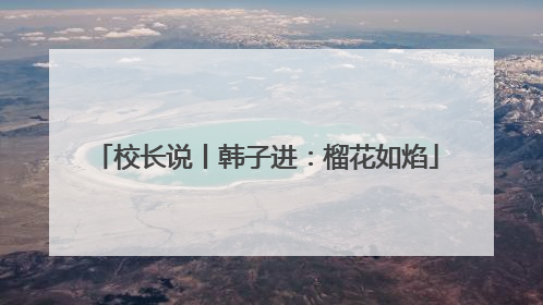 校长说丨韩子进：榴花如焰
