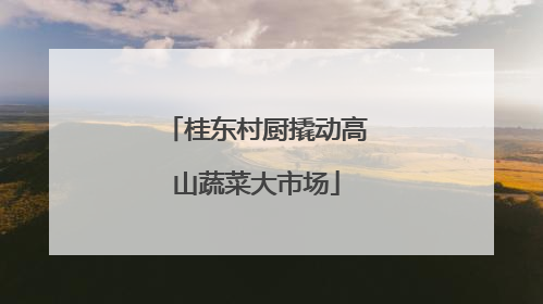 桂东村厨撬动高山蔬菜大市场