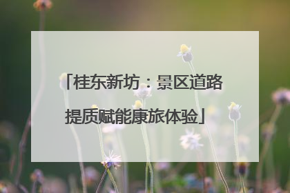 桂东新坊：景区道路提质赋能康旅体验