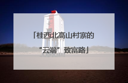 桂西北高山村寨的“云端”致富路