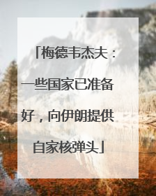 梅德韦杰夫：一些国家已准备好，向伊朗提供自家核弹头