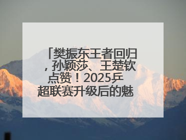 樊振东王者回归，孙颖莎、王楚钦点赞！2025乒超联赛升级后的魅力何在？