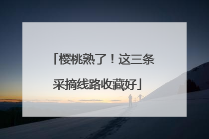 樱桃熟了！这三条采摘线路收藏好