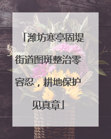 潍坊寒亭固堤街道图斑整治零容忍，耕地保护见真章