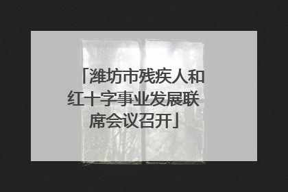 潍坊市残疾人和红十字事业发展联席会议召开