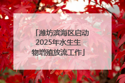 潍坊滨海区启动2025年水生生物增殖放流工作
