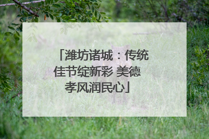 潍坊诸城：传统佳节绽新彩 美德孝风润民心