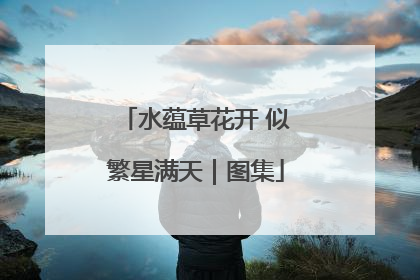 水蕴草花开 似繁星满天｜图集