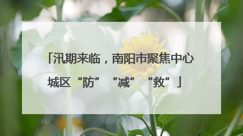 汛期来临，南阳市聚焦中心城区“防”“减”“救”