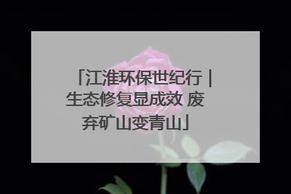 江淮环保世纪行｜生态修复显成效 废弃矿山变青山