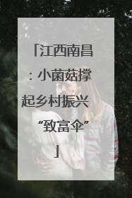 江西南昌：小菌菇撑起乡村振兴“致富伞”
