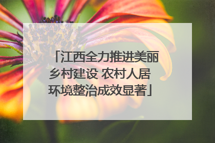 江西全力推进美丽乡村建设 农村人居环境整治成效显著