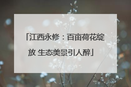 江西永修：百亩荷花绽放 生态美景引人醉