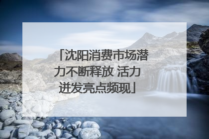 沈阳消费市场潜力不断释放 活力迸发亮点频现