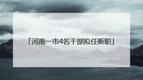 河南一市4名干部拟任新职