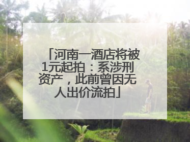 河南一酒店将被1元起拍：系涉刑资产，此前曾因无人出价流拍