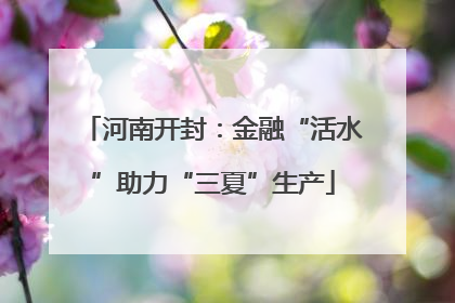 河南开封：金融“活水”助力“三夏”生产