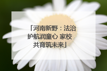 河南新野：法治护航润童心 家校共育筑未来