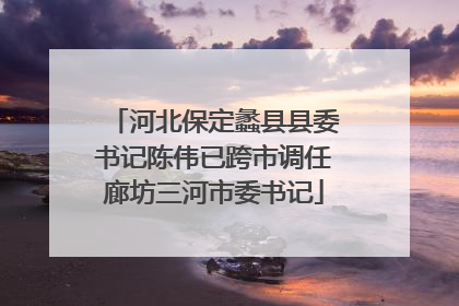 河北保定蠡县县委书记陈伟已跨市调任廊坊三河市委书记