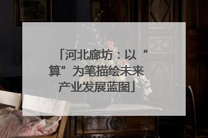 河北廊坊：以“算”为笔描绘未来产业发展蓝图