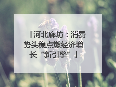 河北廊坊：消费势头稳点燃经济增长“新引擎”
