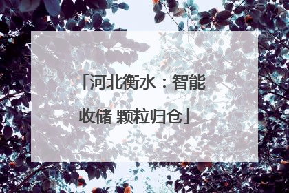 河北衡水：智能收储 颗粒归仓