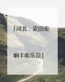 河北：麦田奏响丰收乐章
