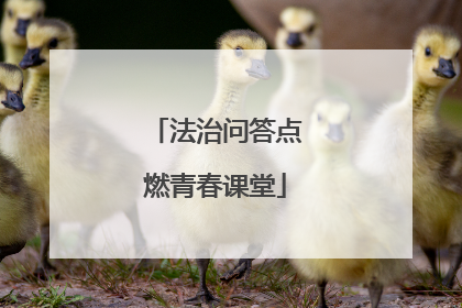 法治问答点燃青春课堂
