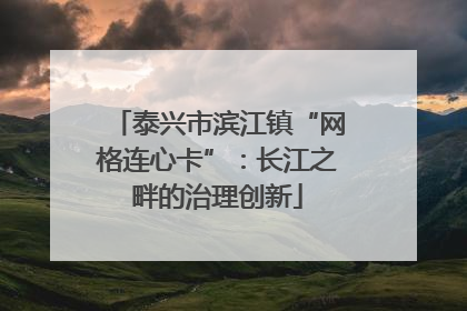 泰兴市滨江镇“网格连心卡”：长江之畔的治理创新
