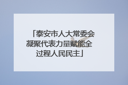 泰安市人大常委会凝聚代表力量赋能全过程人民民主