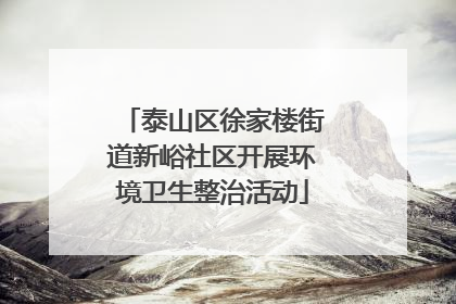 泰山区徐家楼街道新峪社区开展环境卫生整治活动