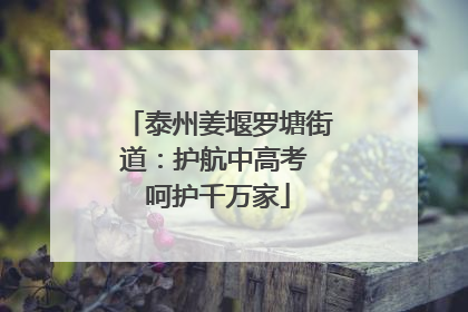 泰州姜堰罗塘街道：护航中高考 呵护千万家