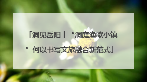 洞见岳阳丨“洞庭渔歌小镇”何以书写文旅融合新范式