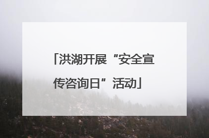 洪湖开展“安全宣传咨询日”活动