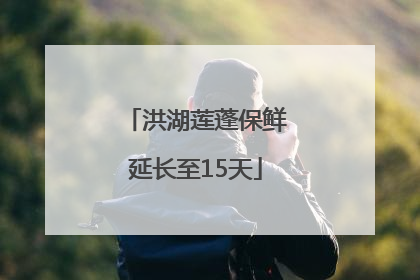 洪湖莲蓬保鲜延长至15天