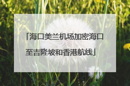 海口美兰机场加密海口至吉隆坡和香港航线