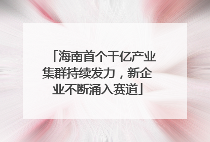 海南首个千亿产业集群持续发力，新企业不断涌入赛道