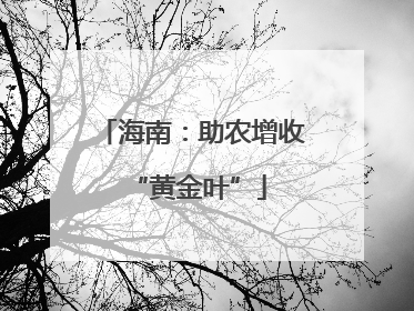 海南：助农增收 “黄金叶”