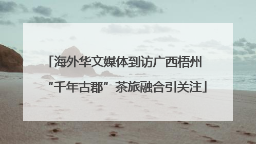 海外华文媒体到访广西梧州 “千年古郡”茶旅融合引关注