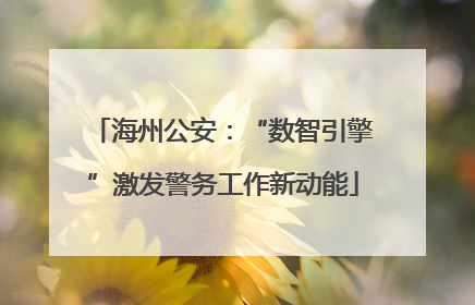 海州公安：“数智引擎”激发警务工作新动能