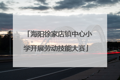 海阳徐家店镇中心小学开展劳动技能大赛