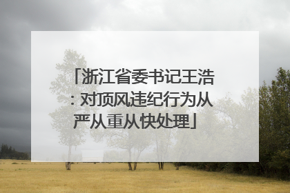 浙江省委书记王浩：对顶风违纪行为从严从重从快处理