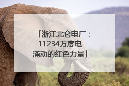 浙江北仑电厂：11234万度电涌动的红色力量