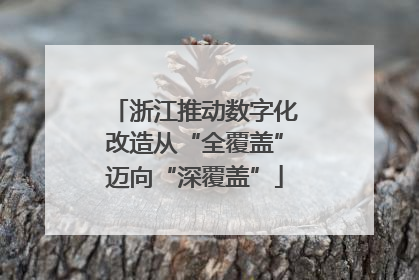 浙江推动数字化改造从“全覆盖”迈向“深覆盖”