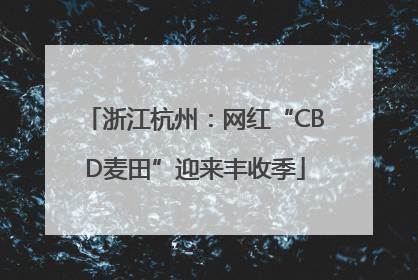 浙江杭州：网红“CBD麦田”迎来丰收季