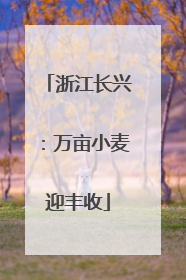 浙江长兴：万亩小麦迎丰收