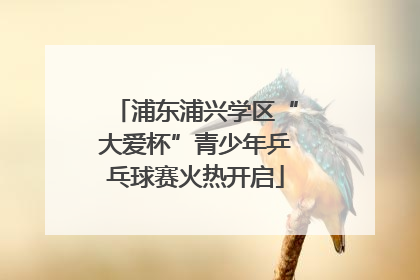 浦东浦兴学区“大爱杯”青少年乒乓球赛火热开启